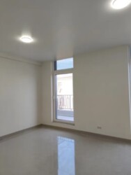 ������� ���� �����������, �����������, �����, ������� ���� 4