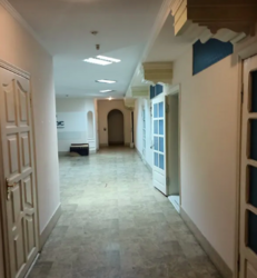 ������� ���� �����������, �����������, ������, ����� ������ ���� 5