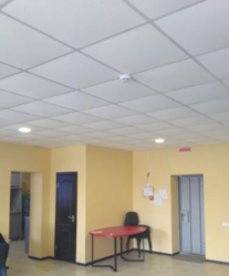 ������� ���� ��������������, �����������, �����������, �������� ���� 5