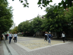 ������ ���� ���� 38