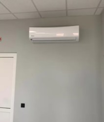 ������� ���� �������, �����������, �����������, �������� ���� 8