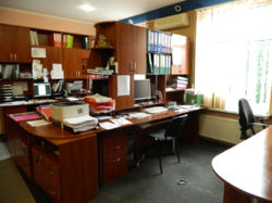 ������ ���� ���� 19