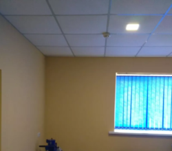 ������� ���� ��������������, �����������, �����������, �������� ���� 6