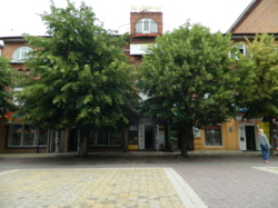 ������ ���� ���� 36