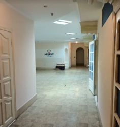 ������� ���� �����������, �����������, ������, ����� ������ ���� 3