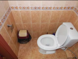 ������� ���� �������� ��������, �����������, �����������, ����� ����� ���� 5