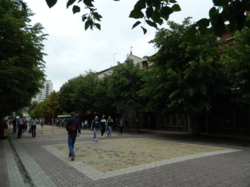 ������ ���� ���� 37