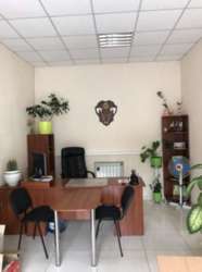 ������� ���� �������, �����������, �����������, �������� ���� 5