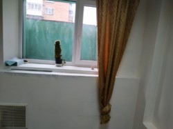 ������� ���� ����������, �����������, �����������, �������� ���� 2