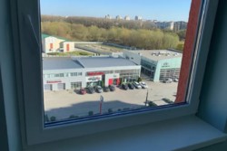 ������� ���� �������, �����������, �����������, �������� ���� 7