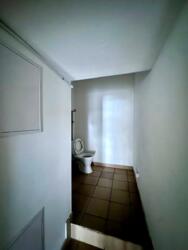 ������ / ������� / ������ ������� ���. (�������), 25 ���� 5