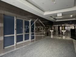 ������ �����,�������� ���������.�� �������� ѳ�.���������� 172. ���� 17