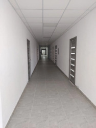 Оренда кабінетів в Центральній частині міста код № 1-498-979 фото 6 Оренда кабінетів в Центральній частині міста код № 1-498-979 фото 6