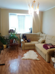 ������� �������� �������� ���������, �����, ��������, �������� �������� 2, ������ �������, 218, �. ��������� ���� 6