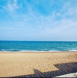 Уютный Мини- Отель деревянный сруб у моря фото 12 Уютный Мини- Отель деревянный сруб у моря фото 12