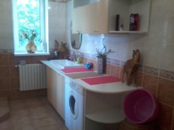 Дом в Леонидово! фото 16 Дом в Леонидово! фото 16