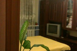 В оренді подобово однокімнатна квартира на проспекті Миру фото 2 В оренді подобово однокімнатна квартира на проспекті Миру фото 2