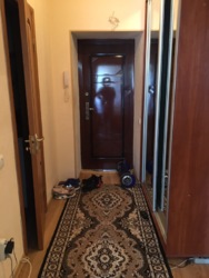 Здається квартира подобово Одеська, Чорноморськ, Іллічівськ, Парусна фото 9 Здається квартира подобово Одеська, Чорноморськ, Іллічівськ, Парусна фото 9