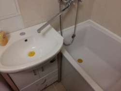 Здається квартира подобово Одеська, Чорноморськ, Іллічівськ, 1 Травня фото 7 Здається квартира подобово Одеська, Чорноморськ, Іллічівськ, 1 Травня фото 7