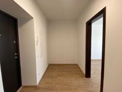 ��������� �������� ���� ���� 12