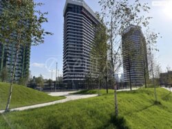 ��������� �������� ������ ���������� ��., 12, ����, ������������� ���� 12