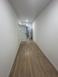 ��������� �������� ����, ���������� ���� 1