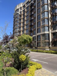 ��������� �������� ����, ������������ ���� 3