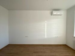 ��������� �������� ���� ���� 6