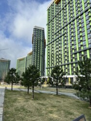 ��������� �������� ����, ��������� ���� 1