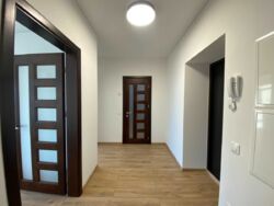 ��������� �������� ���� ���� 11