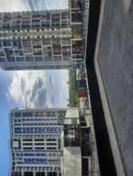 ��������� �������� ����, ����������� ���� 5