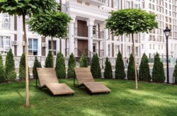 ��������� �������� ����, ������������ ���� 19