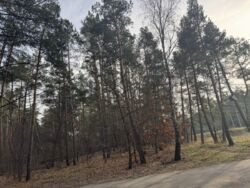 ��������� �������� ���� ���� 5