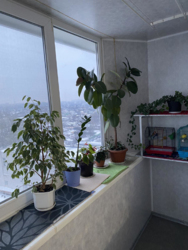 Продам 2-к квартиру в кирпичной высотке на Мануйловском (Воронцова) фото 6 Продам 2-к квартиру в кирпичной высотке на Мануйловском (Воронцова) фото 6