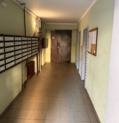  4-      ,   13