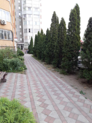  2-      ,   15