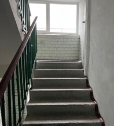  3-     .  (. /)  12