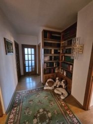  5-   . ,  .  /    11