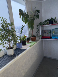 Продам 2-к квартиру в кирпичной высотке на Мануйловском (Воронцова) фото 10 Продам 2-к квартиру в кирпичной высотке на Мануйловском (Воронцова) фото 10