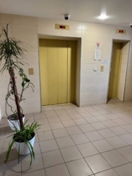  4-  (1202)    / .  / .   19