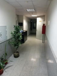  1-  (532)   , , . 8   8