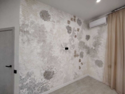     Suncity (), . ,  3  5