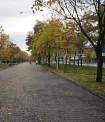 Продам 2-к квартиру (чешка) на пр. Мира, Левобережный-3 фото 18 Продам 2-к квартиру (чешка) на пр. Мира, Левобережный-3 фото 18