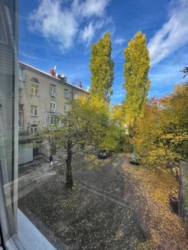 ������ 3-��������� �������� � ������ ��. ������������, ����� McDonald�s� ���� 16