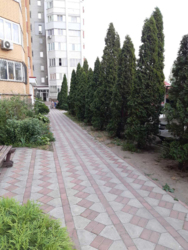 ������ 4-� �������� (178�2) � ��������� ���� �� ����������, ��������� ���� 15