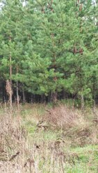 ������ 2-� ������� �������� ����� ���������� ������� ��������� ���� 7