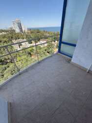 ��������� �������� ����������� ���., ������, ��������, ����������, ����������� ������� ���� 20