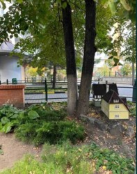 4�. �������� � ����������� ��������� ����� ����� � ���� ���� 16