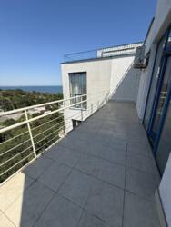 ��������� �������� ����������� ���., ������, ��������, ����������, ����������� ������� ���� 6