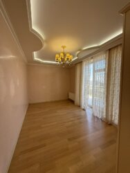 ��������� �������� ����������� ���., ������, ��������, ����������, ����������� ������� ���� 22